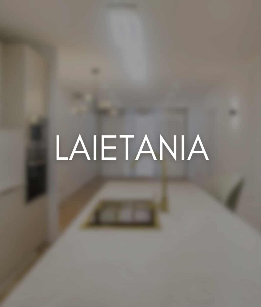 Proyecto Laietania